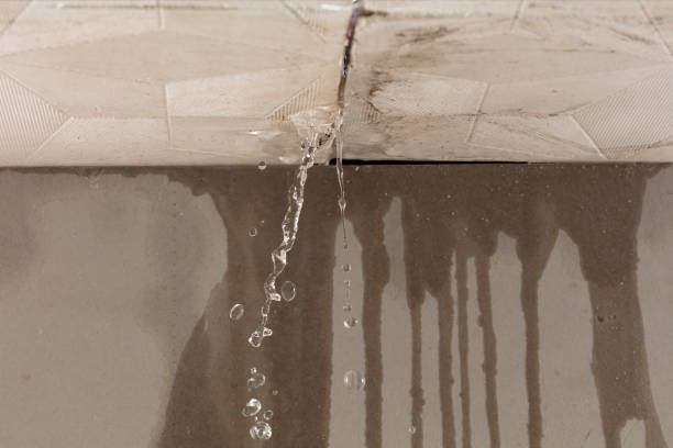 Professional Water Damage Inspection technician working in Provincetown, MA